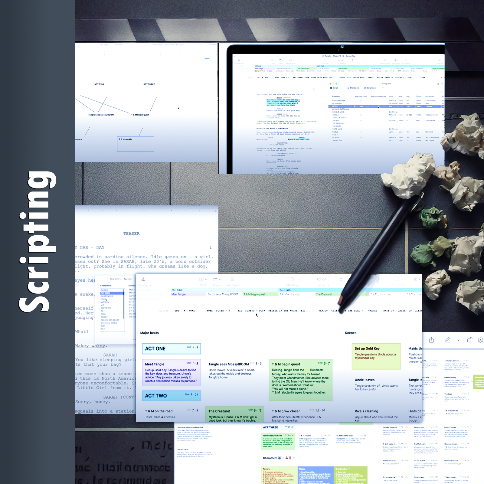 2_scripting_web_pic_main